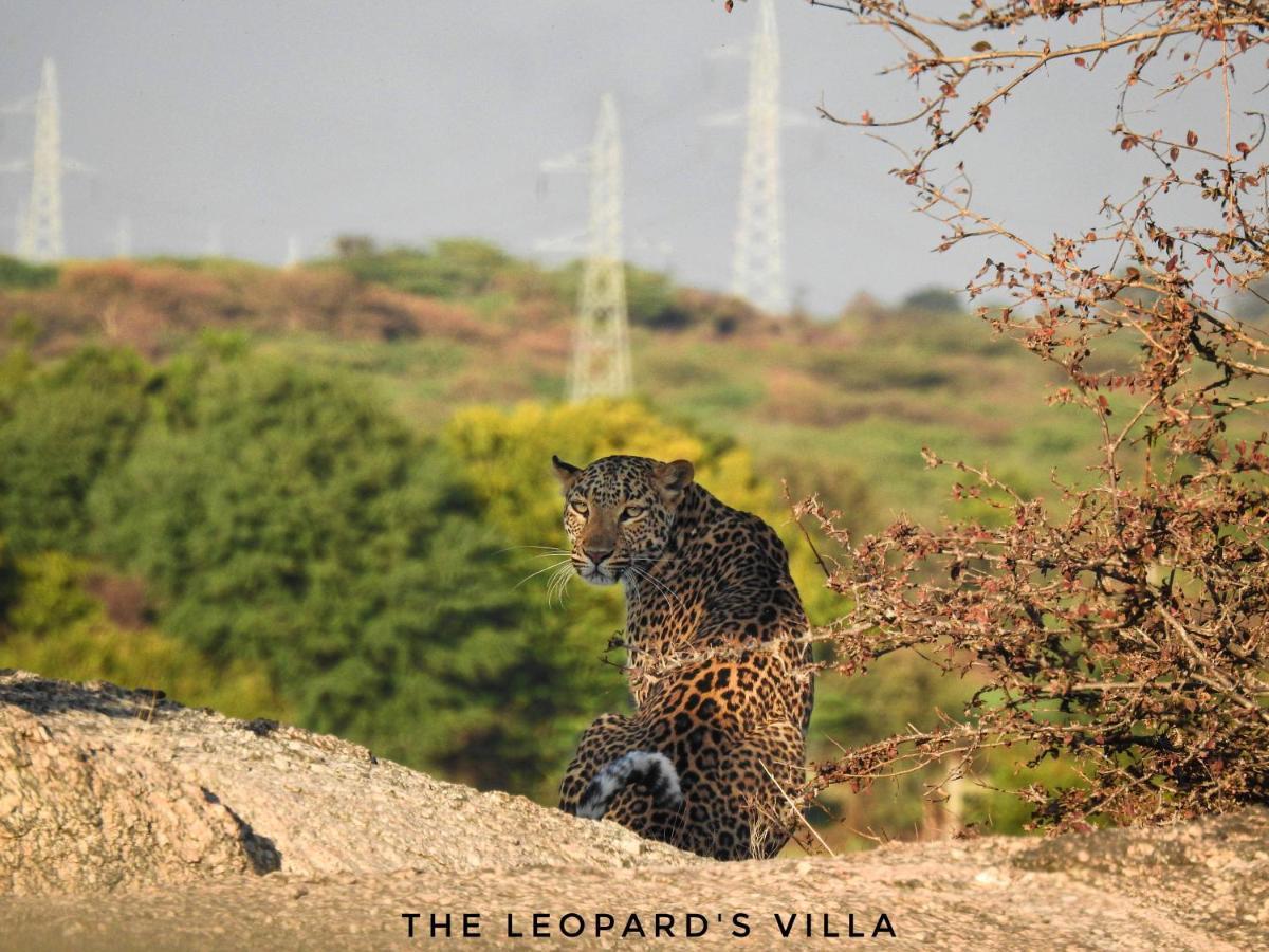 Jawai Leopard Villa Bijapur  Exterior photo