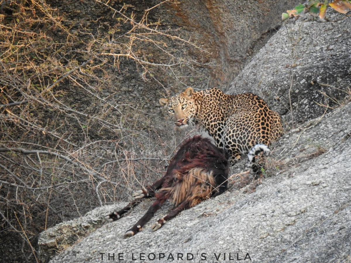 Jawai Leopard Villa Bijapur  Exterior photo