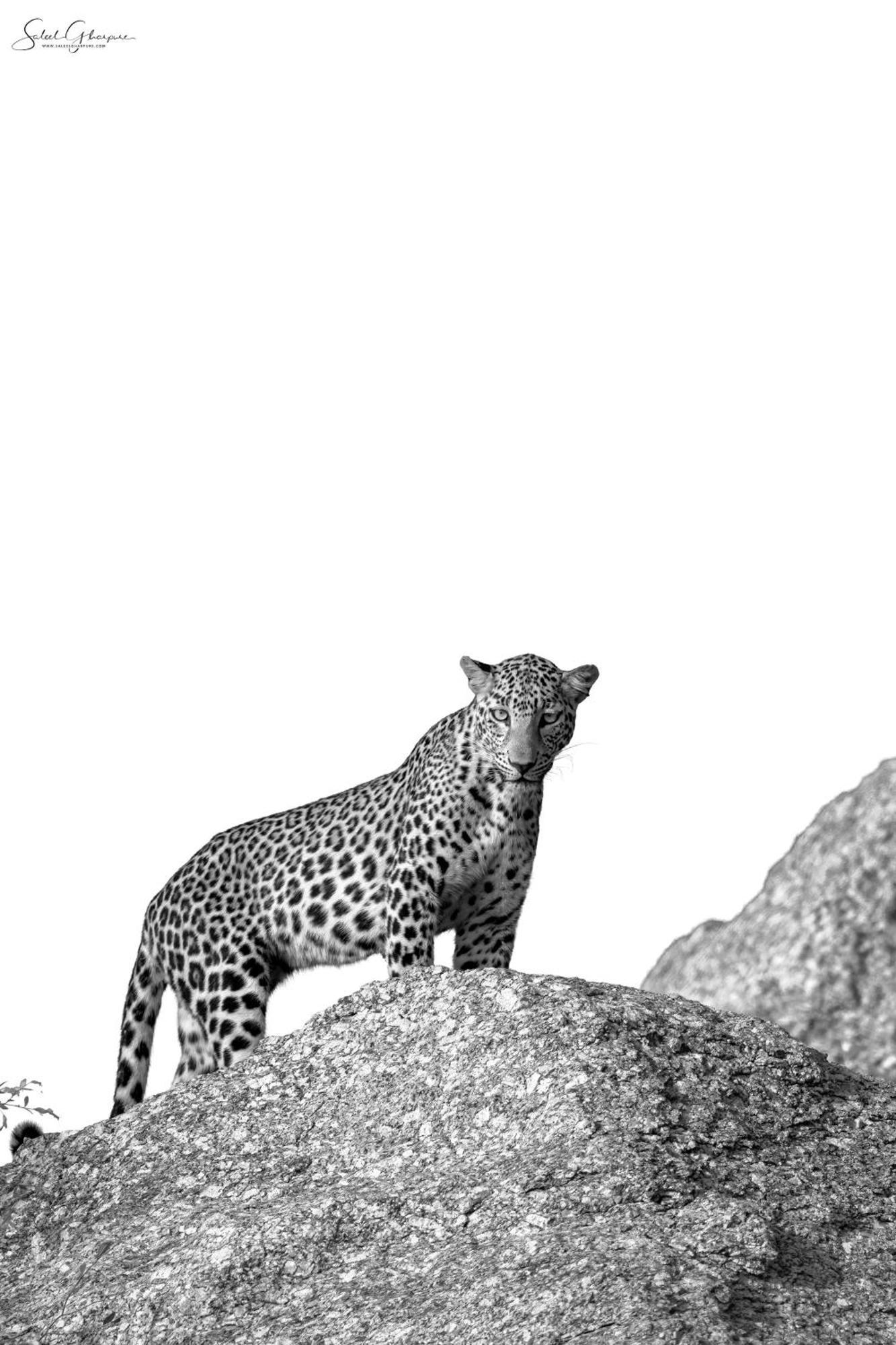 Jawai Leopard Villa Bijapur  Exterior photo
