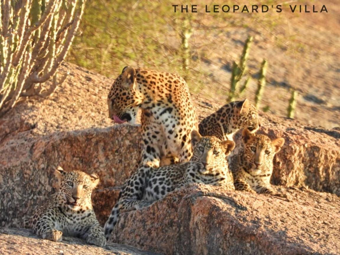 Jawai Leopard Villa Bijapur  Exterior photo