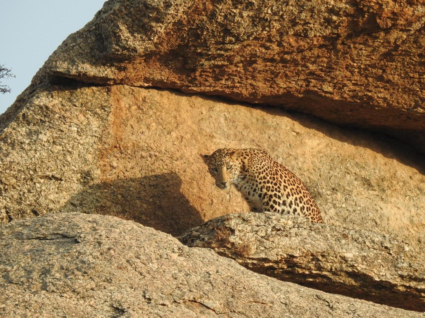 Jawai Leopard Villa Bijapur  Exterior photo